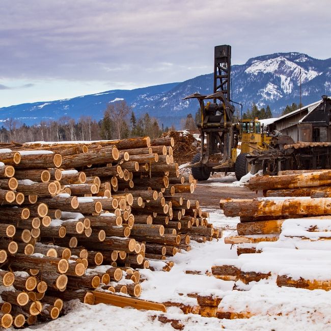 Lumber Mill Minimizes Build Up to Maintain Peak Efficiency LAKOS