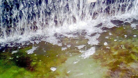 Biological Growth in Cooling Tower Basin