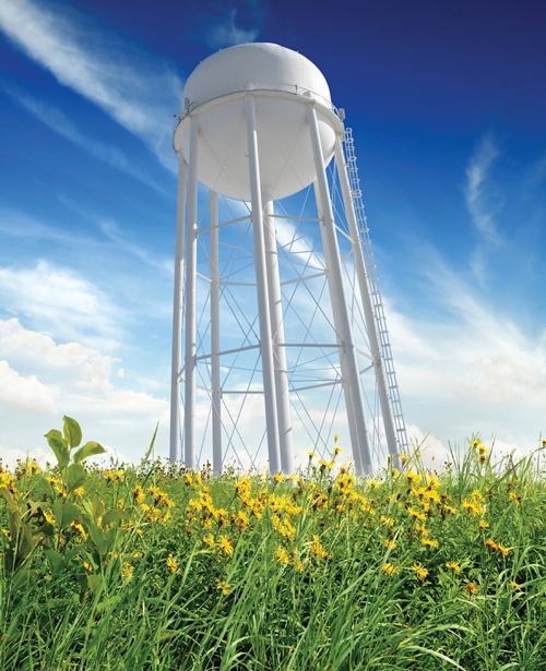 Municipal water tower in a field of dandelions.